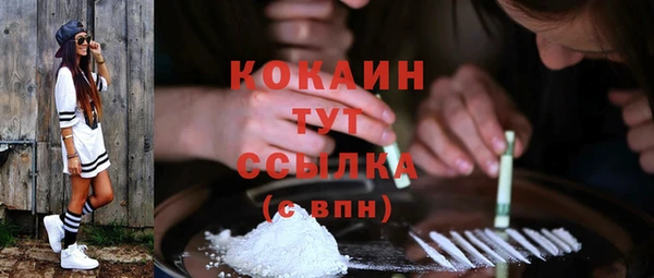 индика Аркадак