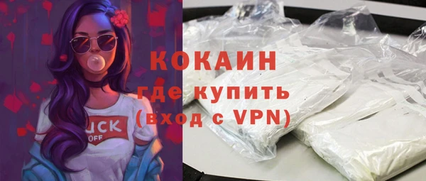 индика Аркадак