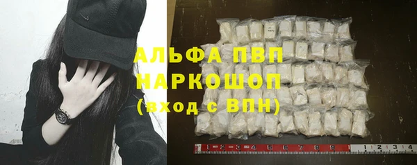 стаф Арсеньев