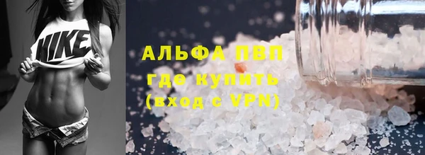 индика Аркадак
