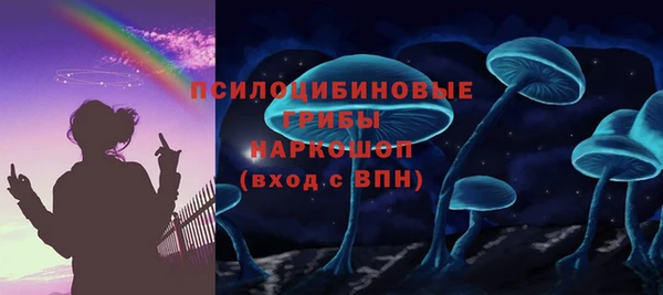 стаф Арсеньев