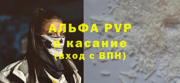 стаф Арсеньев