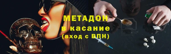 индика Аркадак