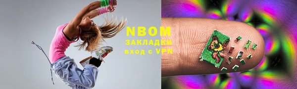 индика Аркадак