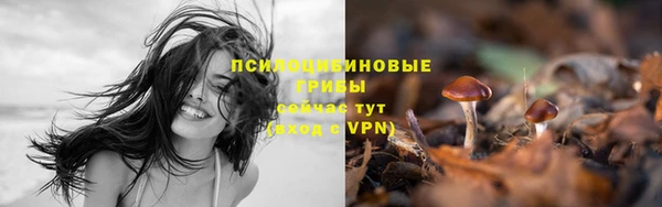 spice Лабытнанги