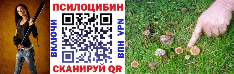 Галлюциногенные грибы GOLDEN TEACHER Курган